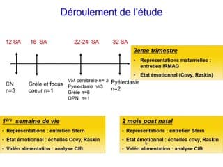 Aspect psychologique de la découverte d'un signe échographique "mineur"