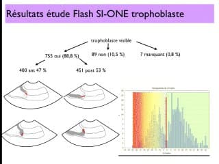 Le col au 1er trimestre