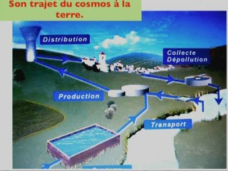 L’eau et le foetus.