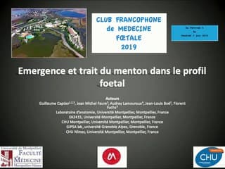 Emergence et traits du menton dans le profil fœtal