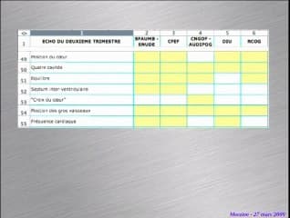 coupe des gros vaisseaux recommandée par le Comité National Technique de l’Échographie de Dépistage Prénatal Pourquoi le choix de cette coupe ?