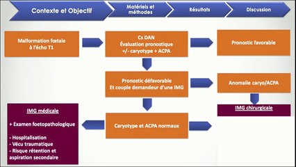 Apport de l’examen fœtopathologique en cas d’Interruption Médicale de Grossesse précoce