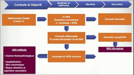 Apport de l’examen fœtopathologique en cas d’Interruption Médicale de Grossesse précoce