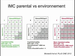 Obésité et diagnostic anténatal : Pourquoi les enfants de femmes obèses sont-ils obèses ?