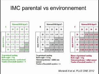Obésité et diagnostic anténatal : Pourquoi les enfants de femmes obèses sont-ils obèses ?