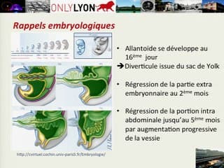 Pathologie de l'ouraque en anténatal à propos de 2 cas