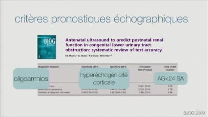Analyse de la fonction rénale fœtale et prise en charge prénatale de la pathologie rénale.