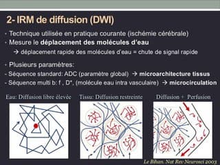 retard de croissance intra utérin : nouvelles approches dans l’évaluation du rciu vasculaire : irm fonctionnelle et rciu