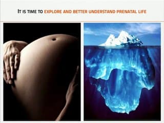 La plateforme LUMIERE