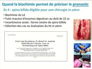 Pronostic et biologie : pour quoi faire ?