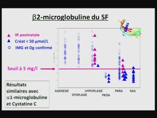 Prédire la fonction rénale : biochimie ou échographie ?