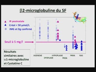 Prédire la fonction rénale : biochimie ou échographie ?