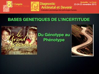 Bases génétiques de l'incertitude.