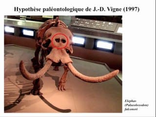 Paléotératologie ou le diagnostic anténatal 2000 ans plus tard?