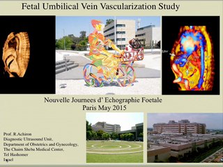 Vascularisation foetale (en anglais)