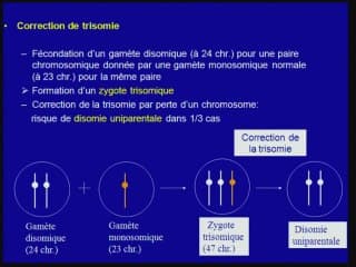 que faire devant une mosaique placentaire