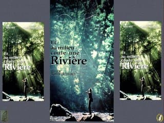 Fistule artério-veineuse intra-thoracique