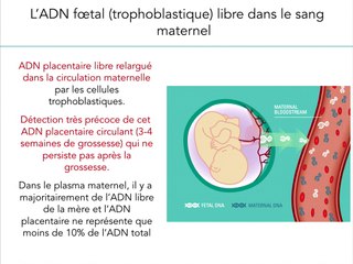 Le point sur le DPANI : SAFE 21