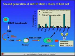 Prévention de l'allo-immunisation foeto-maternelle : des immunoglobulines polyvalentes anti-D aux anticorps monoclonaux humains anti-D