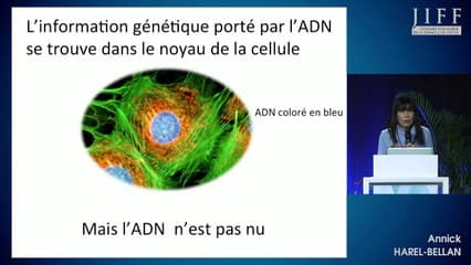 conférence : l'épigénétique