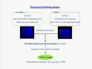 Valve de l'urètre postérieur : Valeur diagnostique de la proteomic et son utilisation pour un essai thérapeutique par laser ou shunt vésicoamniotique