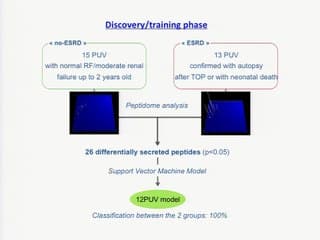 Valve de l'urètre postérieur : Valeur diagnostique de la proteomic et son utilisation pour un essai thérapeutique par laser ou shunt vésicoamniotique