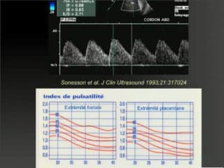 Physiologie de la circulation fœtale