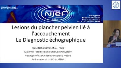 Lésions du plancher liées à l’accouchement : diagnostic échographique