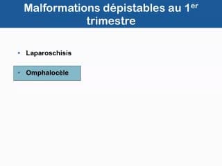Anomalies dites curables et dépistables au 1er trimestre Le point de vue du chirurgien