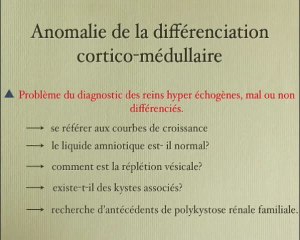 Le rein Foetal à partir de l’image rénale : petit rein, gros rein, rein kystique
