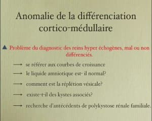 Le rein Foetal à partir de l’image rénale : petit rein, gros rein, rein kystique