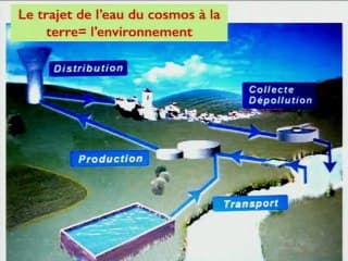 L'ADN n'est plus le seul pilote à bord.