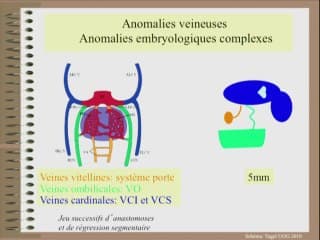 De l' image à l' accompagnement individualisé