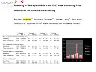 Dépistage du spina bifida au 1er trimestre