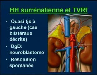 Atteintes vasculaires du rein foetal