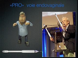 Echographie du premier trimestre : Voie abdominale ou voie endovaginale : il faut savoir utiliser les deux.