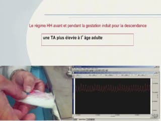 Impact de la nutrition pré- et périconceptionnelle sur la croissance foetale et le développement de maladies a_ l'âge adulte.