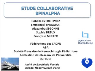 Spinalpha : premiers résultats