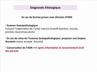 Pieds bots bilatéraux : sont-ils une forme d'arthrogrypose ?