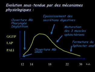 Mucoviscidose : place des enzymes digestives du liquide amniotique dans le diagnostic prénatal de la mucoviscidose