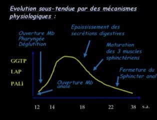 Mucoviscidose : place des enzymes digestives du liquide amniotique dans le diagnostic prénatal de la mucoviscidose