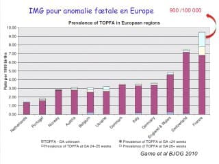 Gravité des indications des interrruptions médicales de grossesse pour anomalie foetale : l'éternel retour