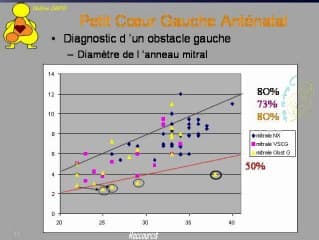 Petits coeurs gauches