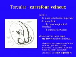 thrombose du torcular
