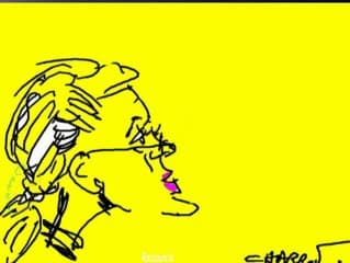 L'annonce de l'anomalie : l'expérience d'une échographiste