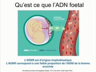 Anomalies chromosomiques : que reste-t-il après l’ADN foetal?