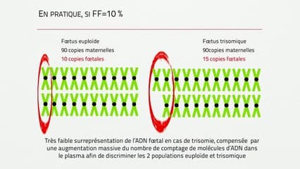 Tests de dépistage basés sur l'ADN circulant : les résultats du STIC SAFE 21 ou en sommes nous