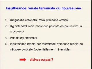 valuation de la fonction rénale foetale Synthèse : le point de vue du néphrologue.