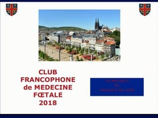 30 Allo-immunisation plaquettaire : le point en 2018  en 30 minutes