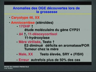 Anomalies des organes génitaux externe : Prise en charge prénatale